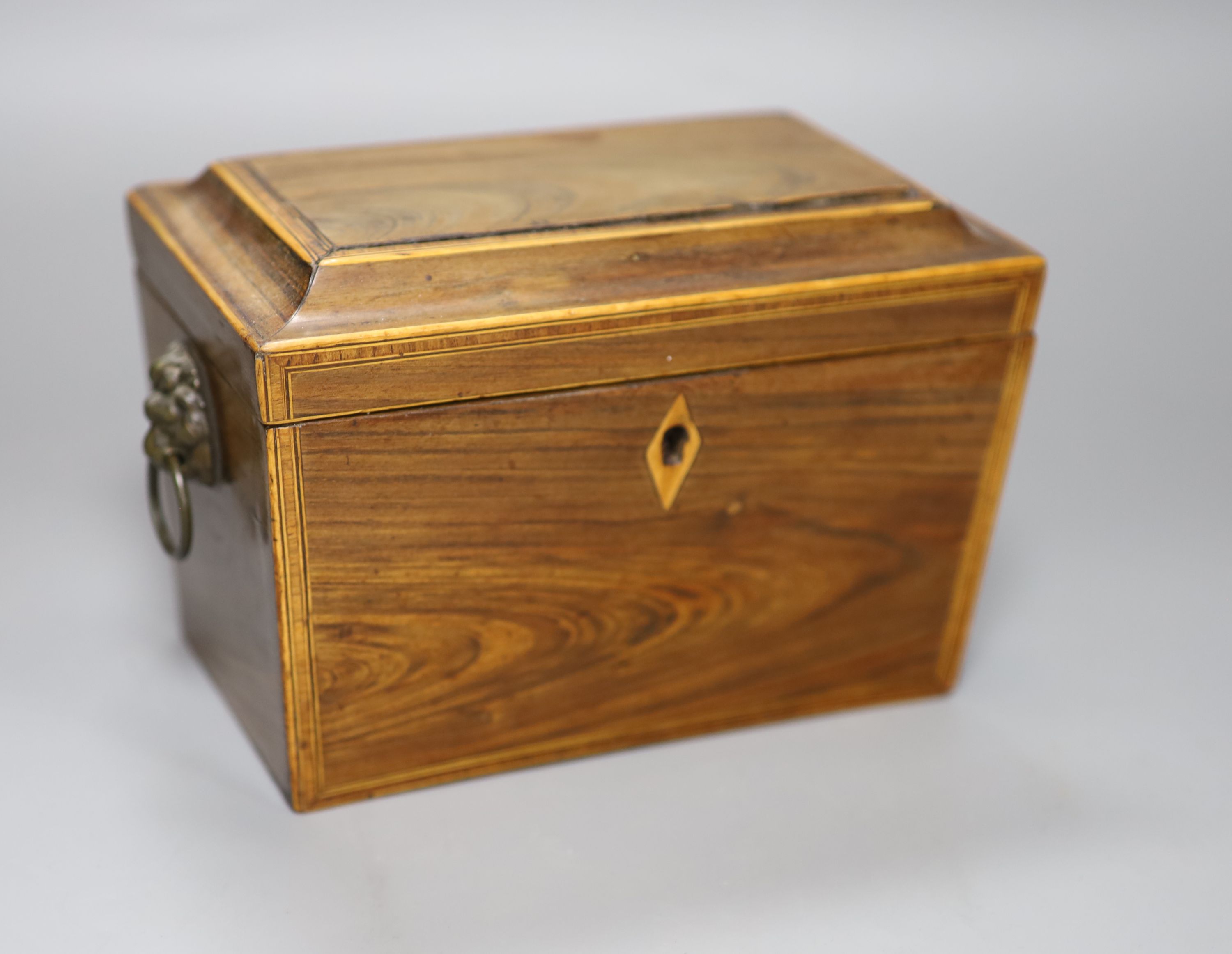 A Regency kingwood? tea caddy, length 20cm